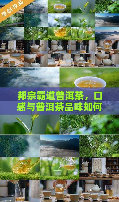 邦宗霸道普洱茶好吗