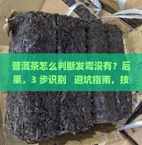 普洱茶怎么判断发霉没有