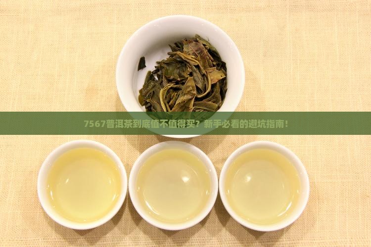 普洱茶了7567