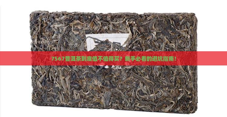 普洱茶了7567