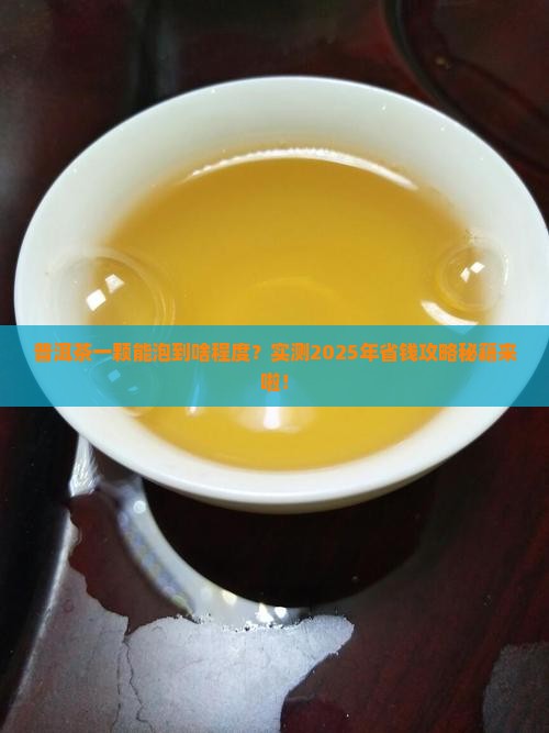 普洱茶一颗可以泡多久
