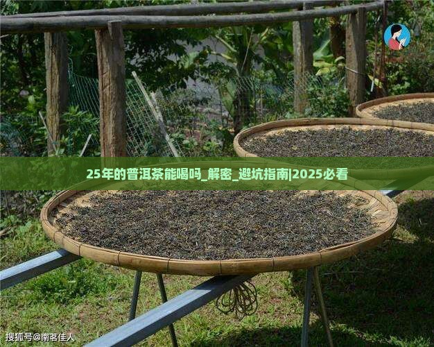 25年的普洱茶能喝吗