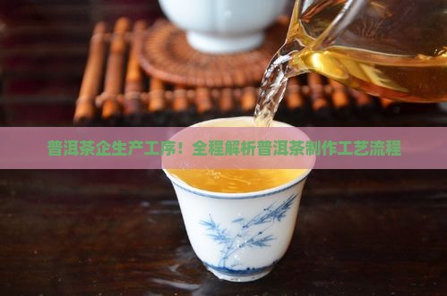 普洱茶企生产工序