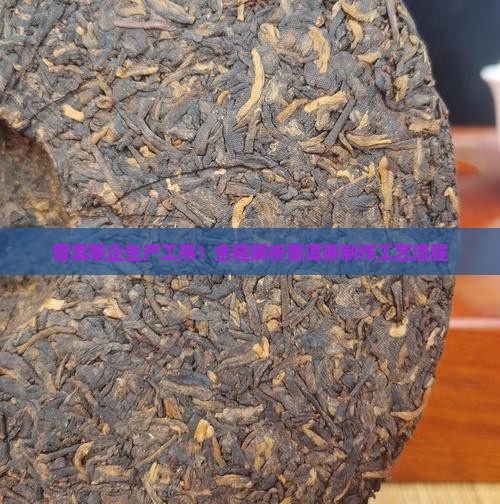 普洱茶企生产工序