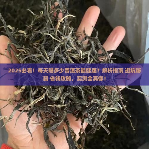 每天喝多少普洱茶