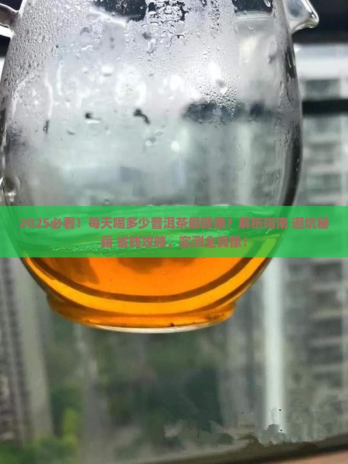 每天喝多少普洱茶
