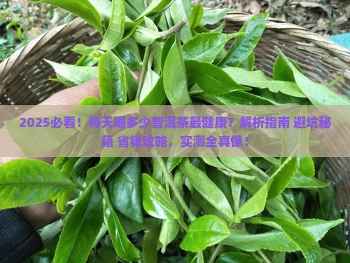 每天喝多少普洱茶
