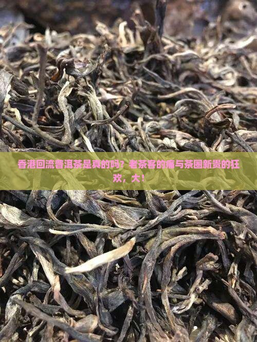 香港回流普洱茶是真的吗