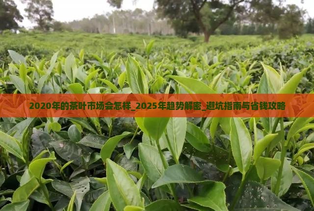 2020年的茶叶市场会怎样