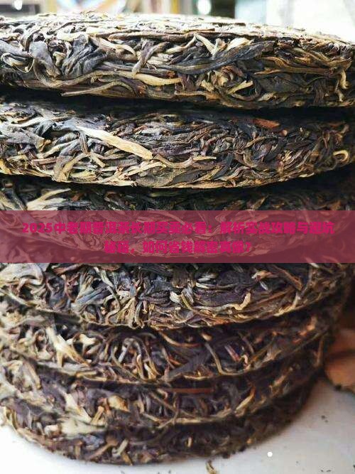 长期买卖中老期普洱茶
