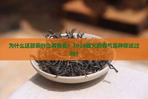 比较香的茶叶是哪个品种