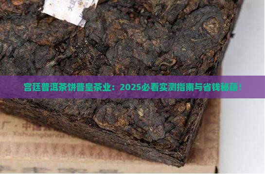 宫廷普洱茶饼普皇茶业