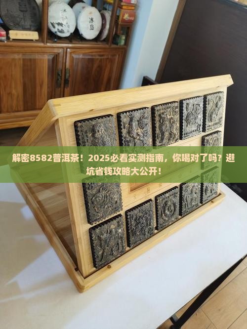 回归8582普洱茶
