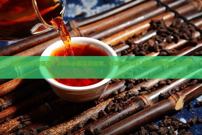 回归8582普洱茶