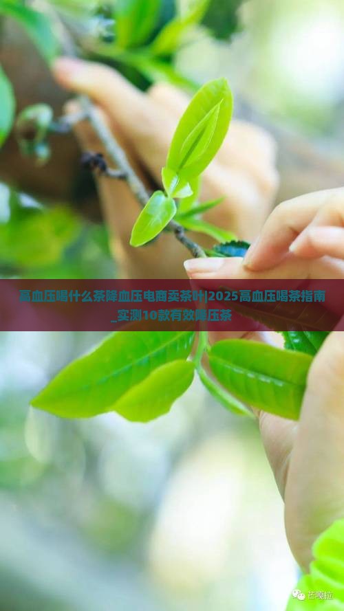 高血压喝什么茶降血压电商卖茶叶