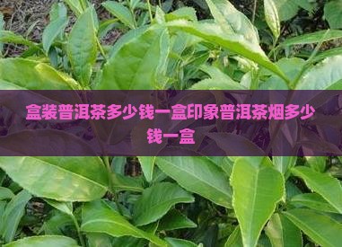 盒装普洱茶多少钱一盒印象