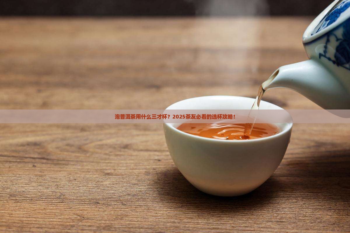 泡普洱茶用什么三才杯