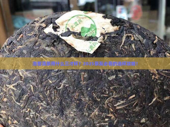 泡普洱茶用什么三才杯
