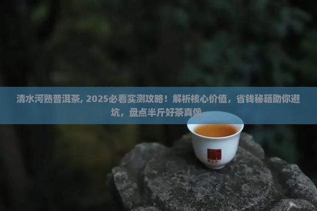 清水河熟普洱茶