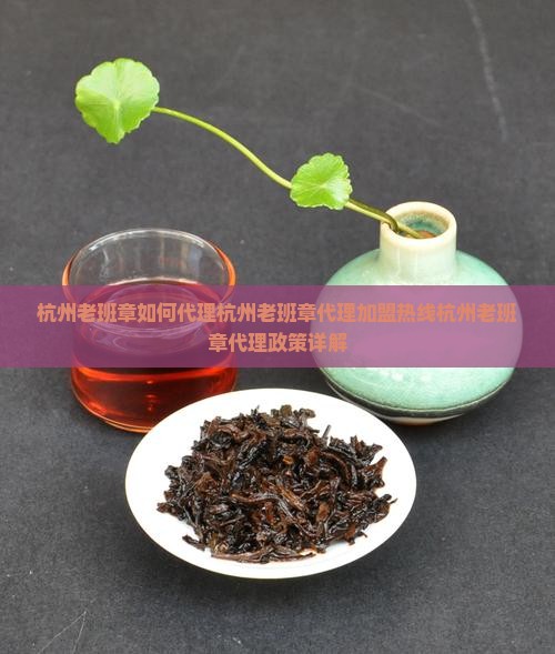 杭州老班章如何代理