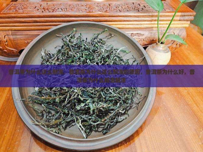 普洱茶为什么这么耐泡