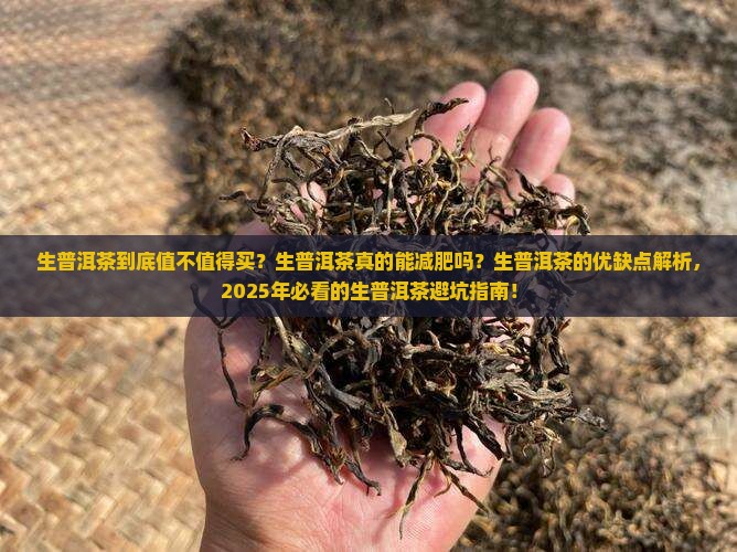 生普洱茶的优缺点