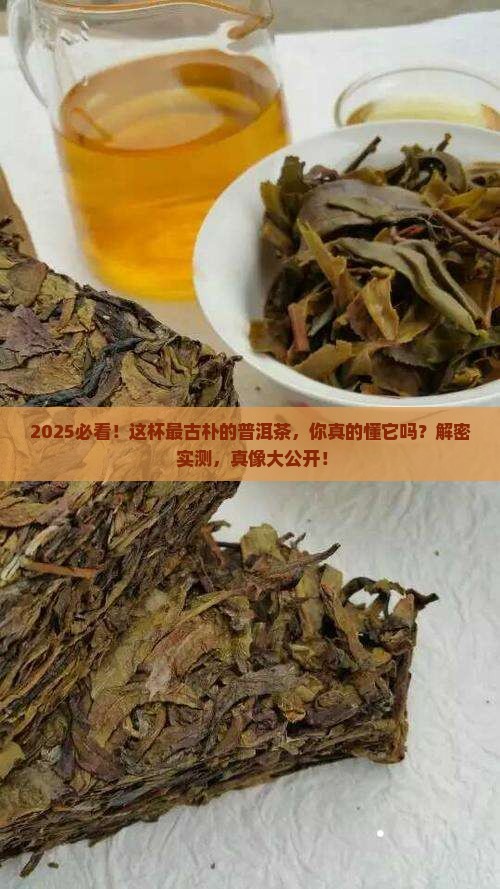 最古朴的普洱茶