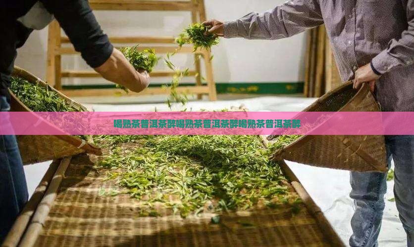 喝熟茶普洱茶醉