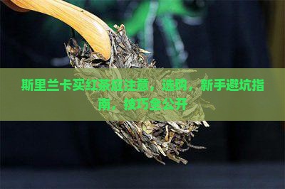 斯里兰卡买红茶应注意
