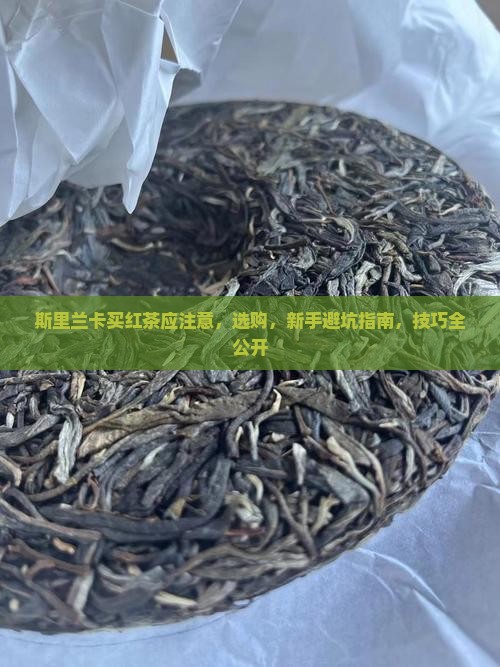斯里兰卡买红茶应注意