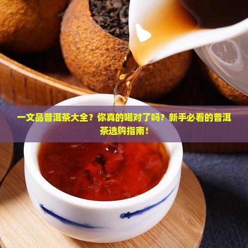 一文品普洱茶大全
