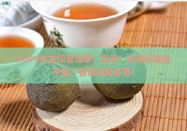 2009年龙印普洱茶