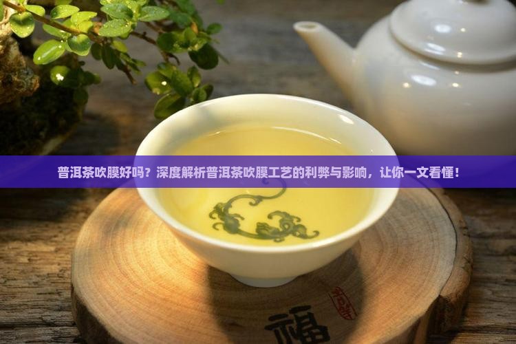 普洱茶吹膜好吗