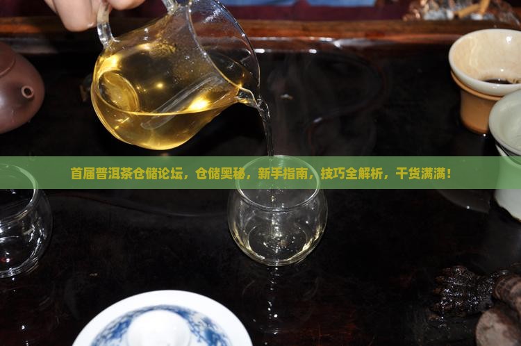 首届普洱茶仓储论坛