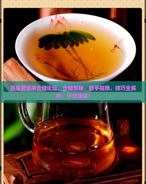 首届普洱茶仓储论坛