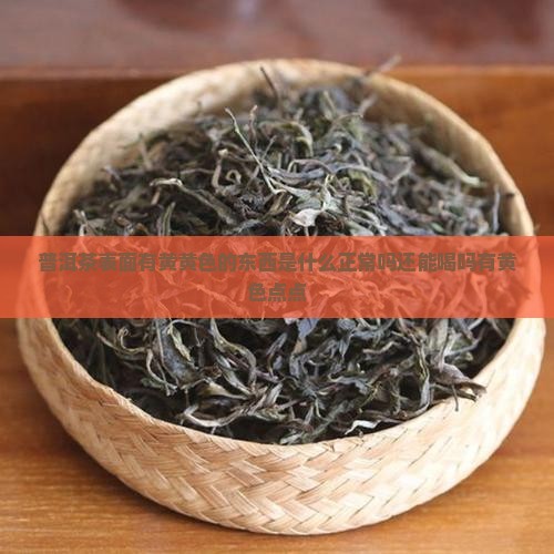 普洱茶表面有黄黄色的东西