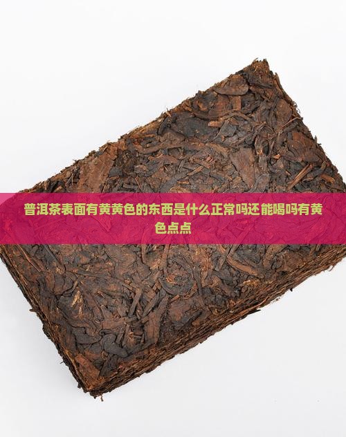 普洱茶表面有黄黄色的东西
