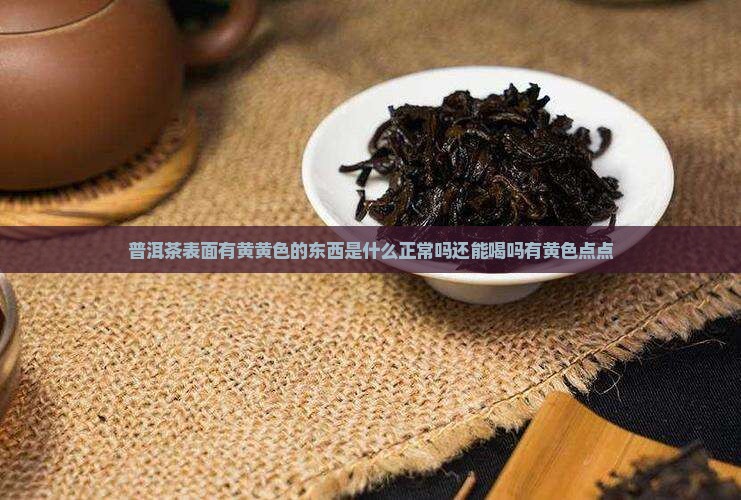 普洱茶表面有黄黄色的东西