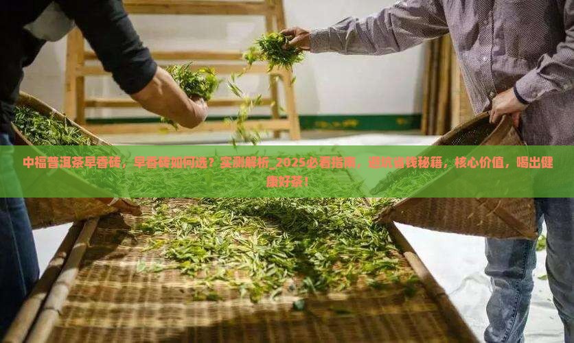 中福普洱茶早香砖