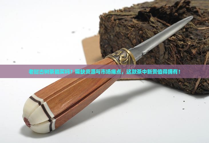 老挝古树茶能买吗