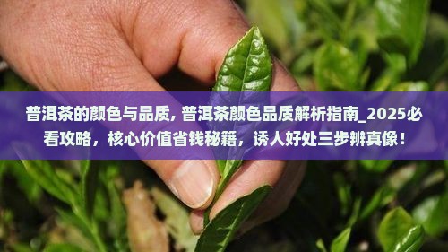 普洱茶的颜色与品质