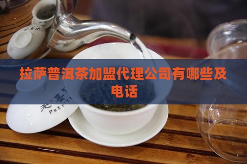 拉萨普洱茶加盟代理公司
