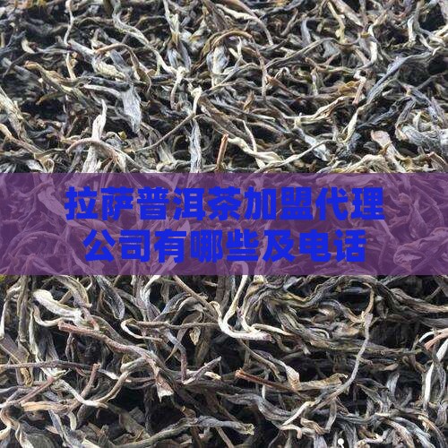 拉萨普洱茶加盟代理公司