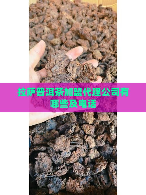 拉萨普洱茶加盟代理公司