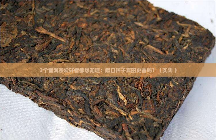 普洱茶敞口杯子更香吗为什么