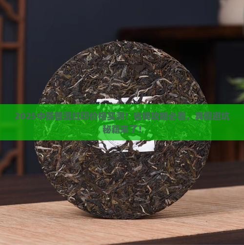 中茶普洱茶官网价格红印