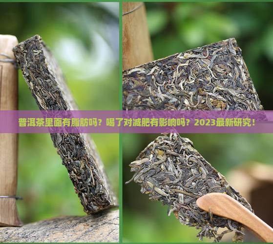 普洱茶里面有脂肪吗能喝吗