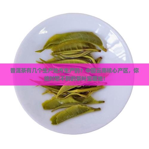 普洱茶有几个生产地方生产的