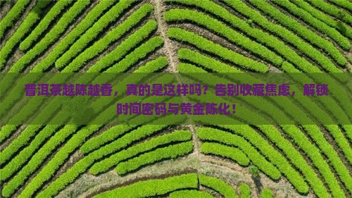 普洱茶越陈越香概念