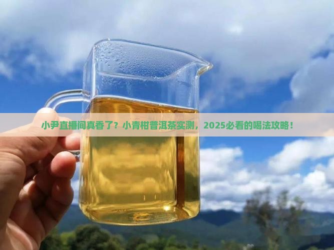 小尹直播间小青柑普洱茶